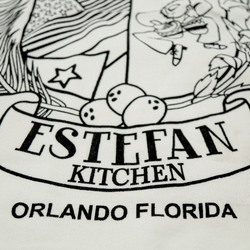 ESTEFAN KITCHEN  ORLANDO BEACH TOWEL